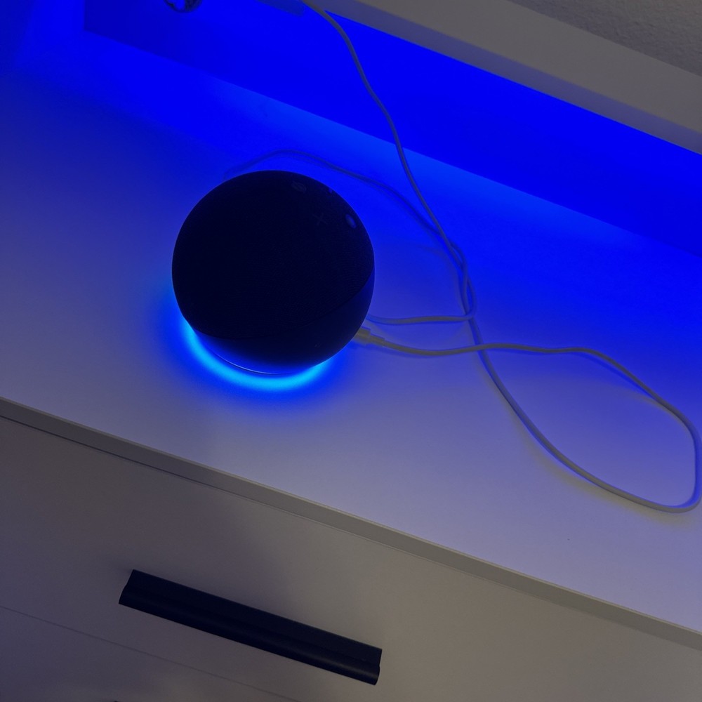 Amazon Echo Alexa Smart Speaker – Fully Functional, Great Condition