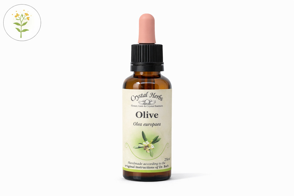Olive - Bach Flower Remedies