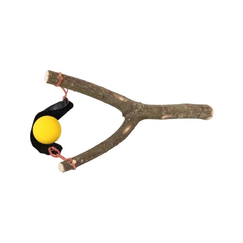 Slingshot With 2 Balls