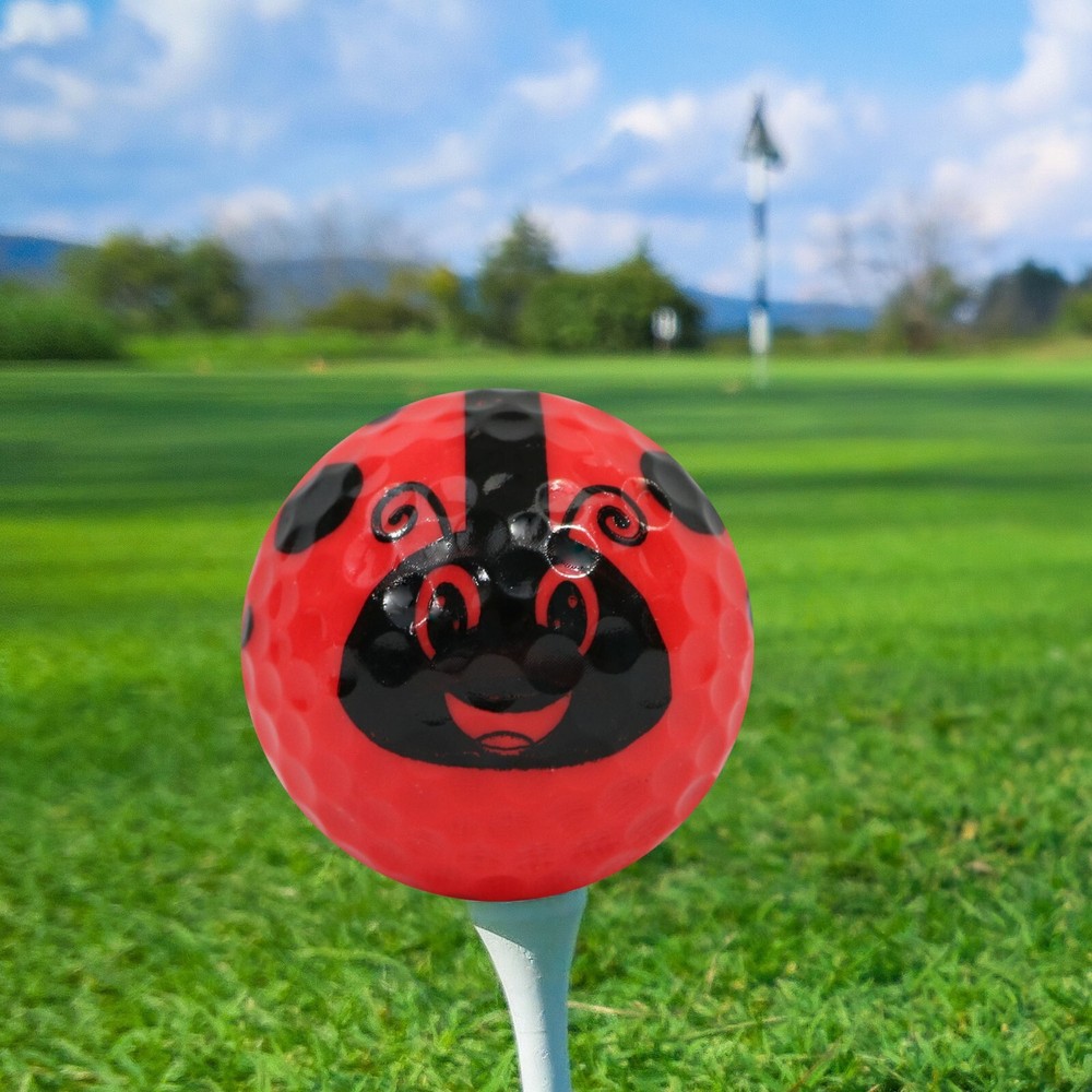 Lady Bug Golf Balls 12 pack - Great Gift Idea!