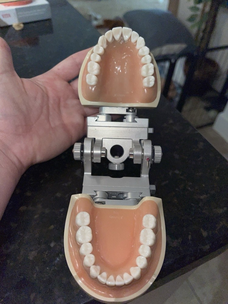 TWO New Nissin Dental Models