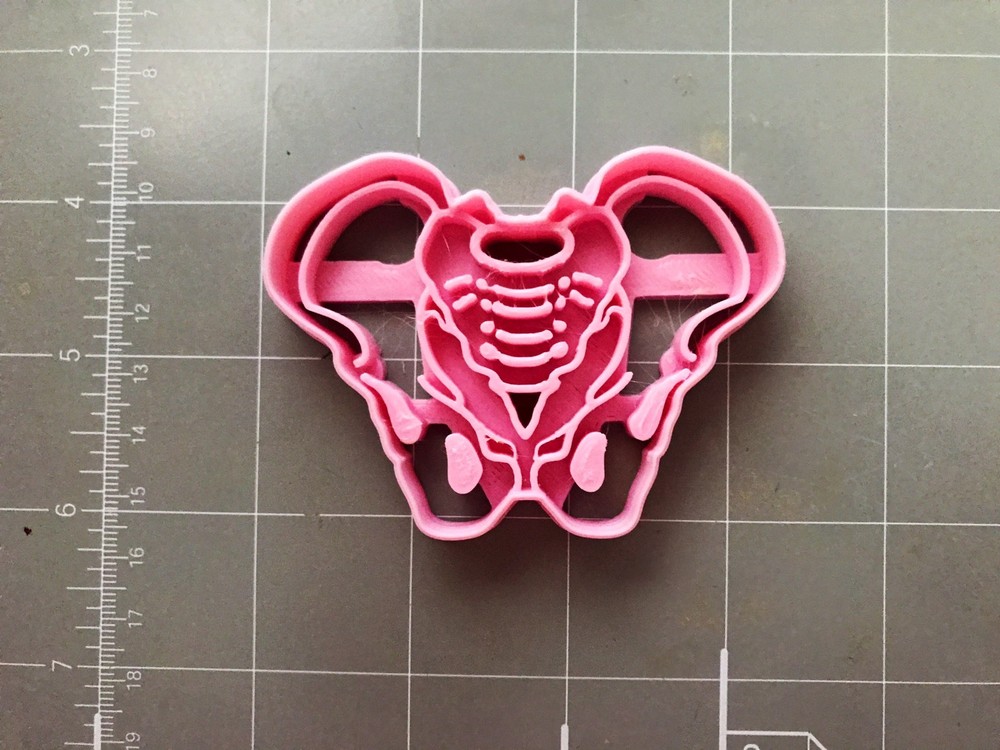 Pelvis Cookie Cutter