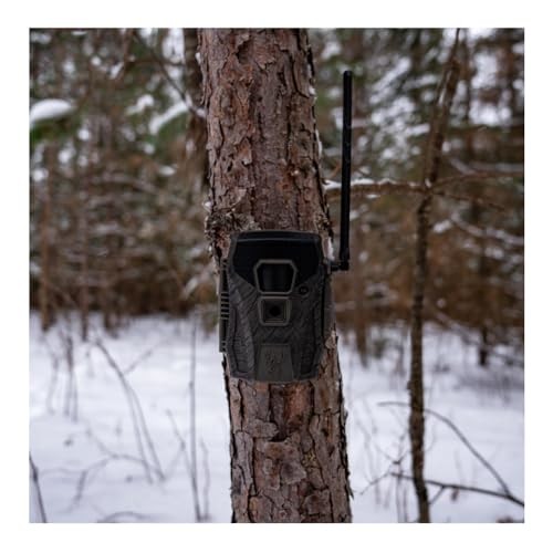 Terra XT 2.0​ / Cellular Camera / 24MP / 3 Pack