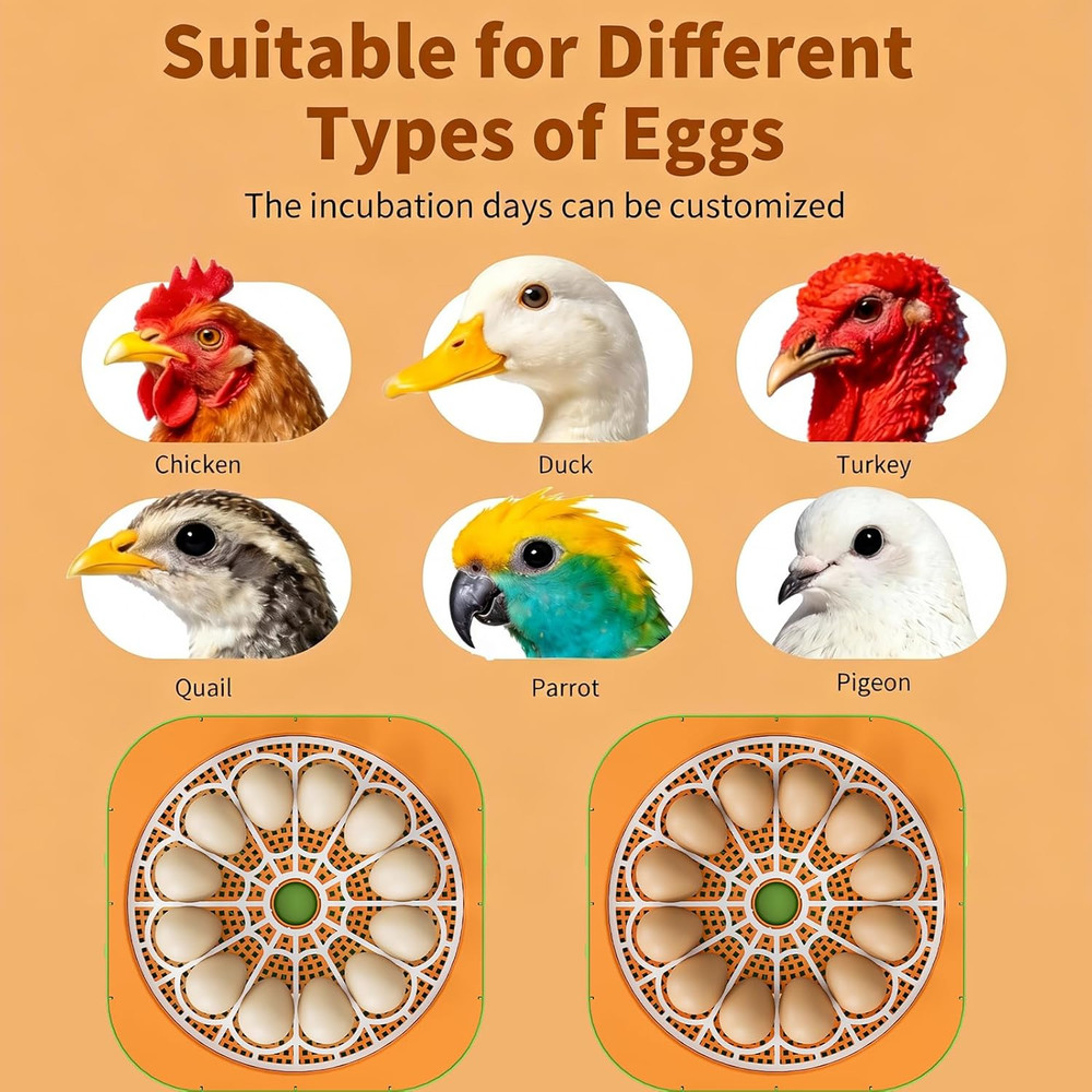 Incubator for Hatching Eggs, Temperature and Humidity Control, Automatic and Adj