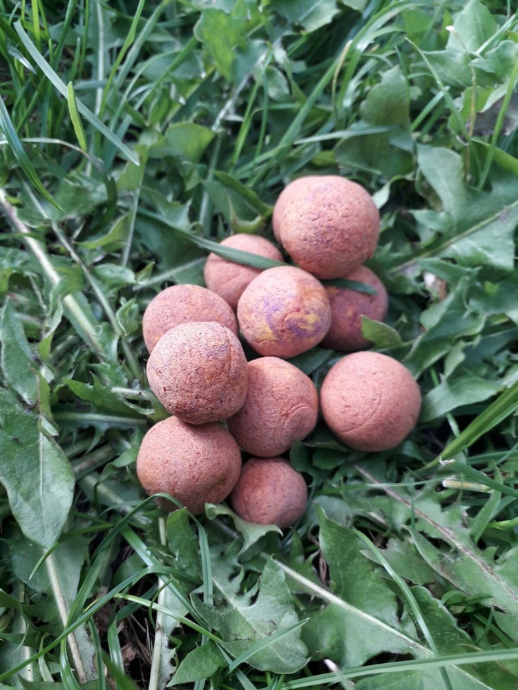 Custom carp baits pop ups fishing 