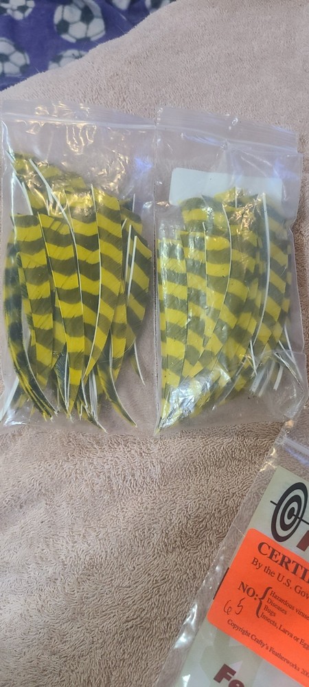 True Flight RH Wing Shield Cut 5" Feathers