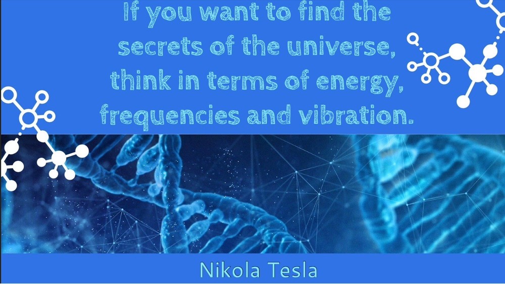 Root Chakra Cleanse Optimize Unblock Heal Body Patch Scalar Frequency
