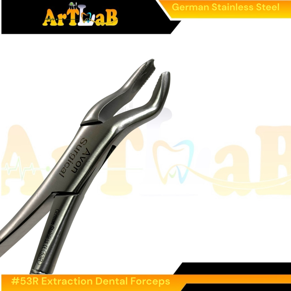 Right Upper First & Second Molar Extraction Forceps #53R, Serrated, 1pc
