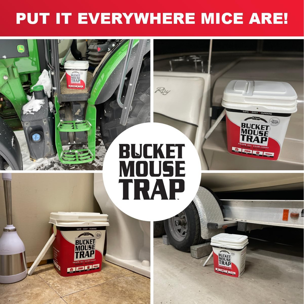 2-Pack Little Bucket Mouse Trap - Complete Kit