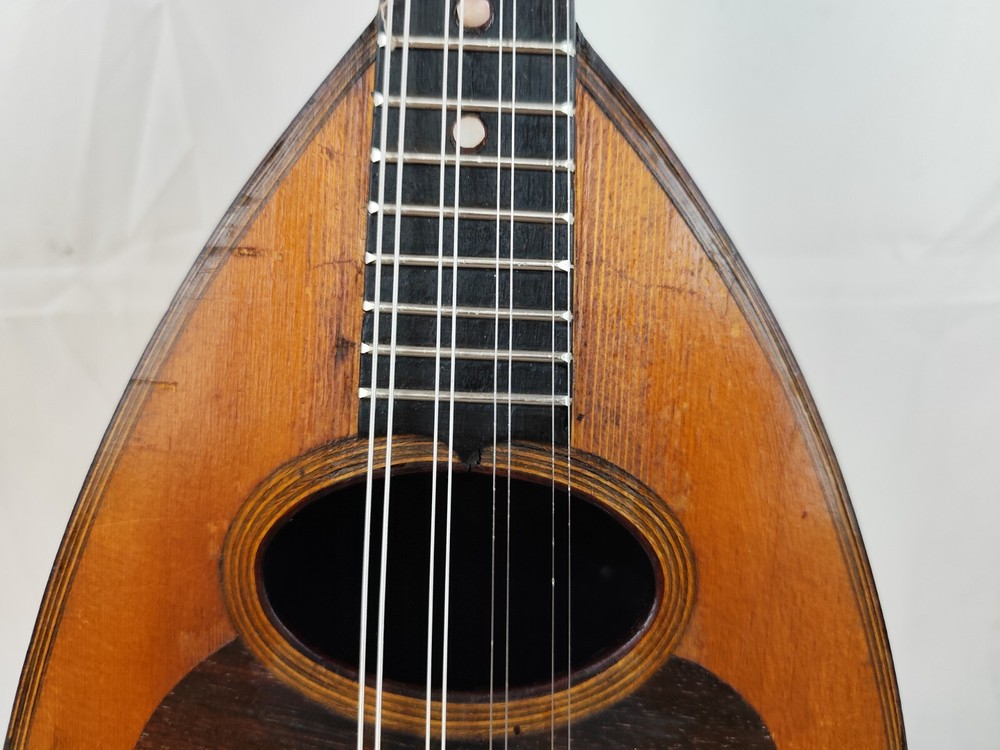 Mandolin 4/4 Luigi Ricci e Son 1885 Naples 曼陀林 만돌린マンドリン