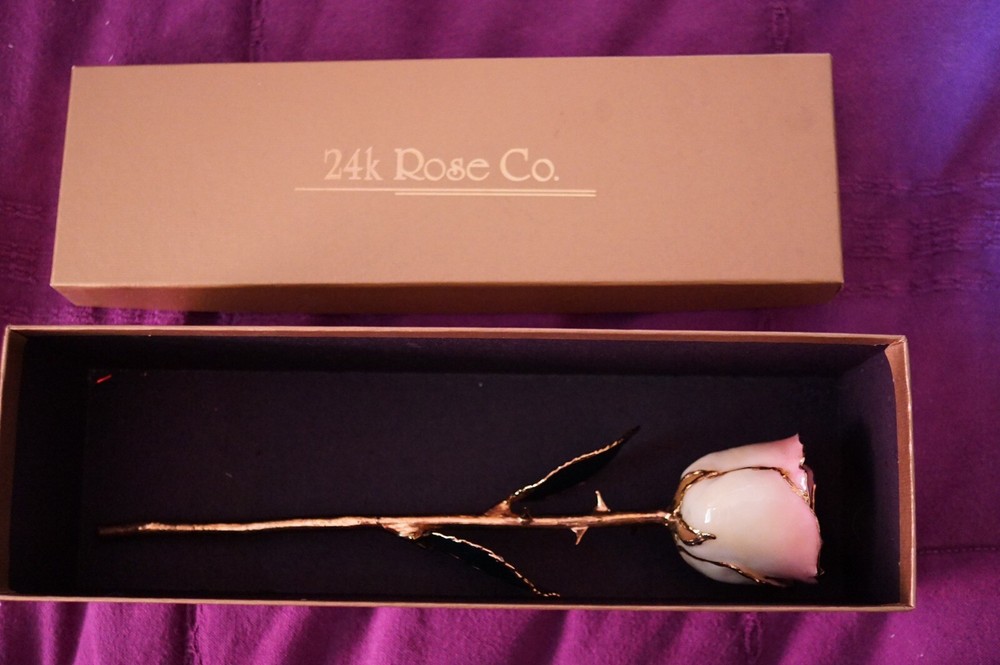 24k rose co