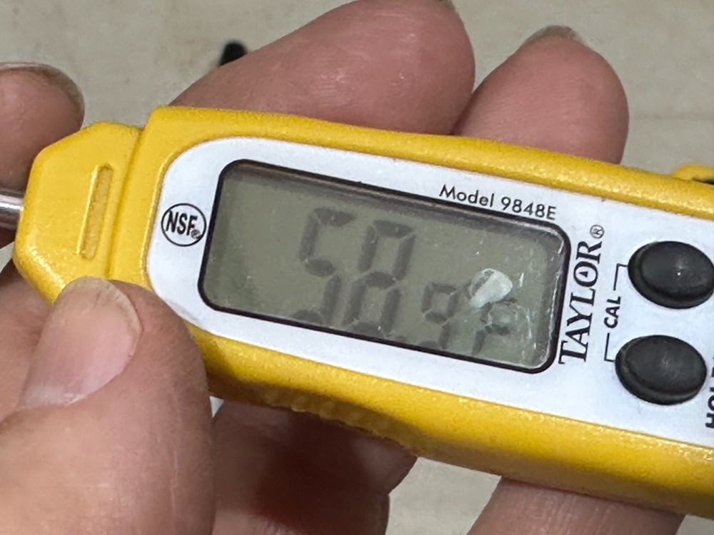 Taylor 9848E Digital Thermometer