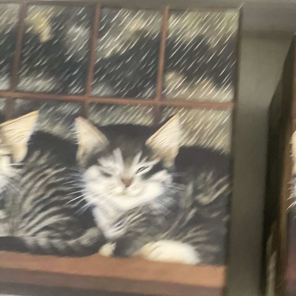 Complete Set of 7 Bobs Boxes Cat Decor Design Stackable Nesting Boxes