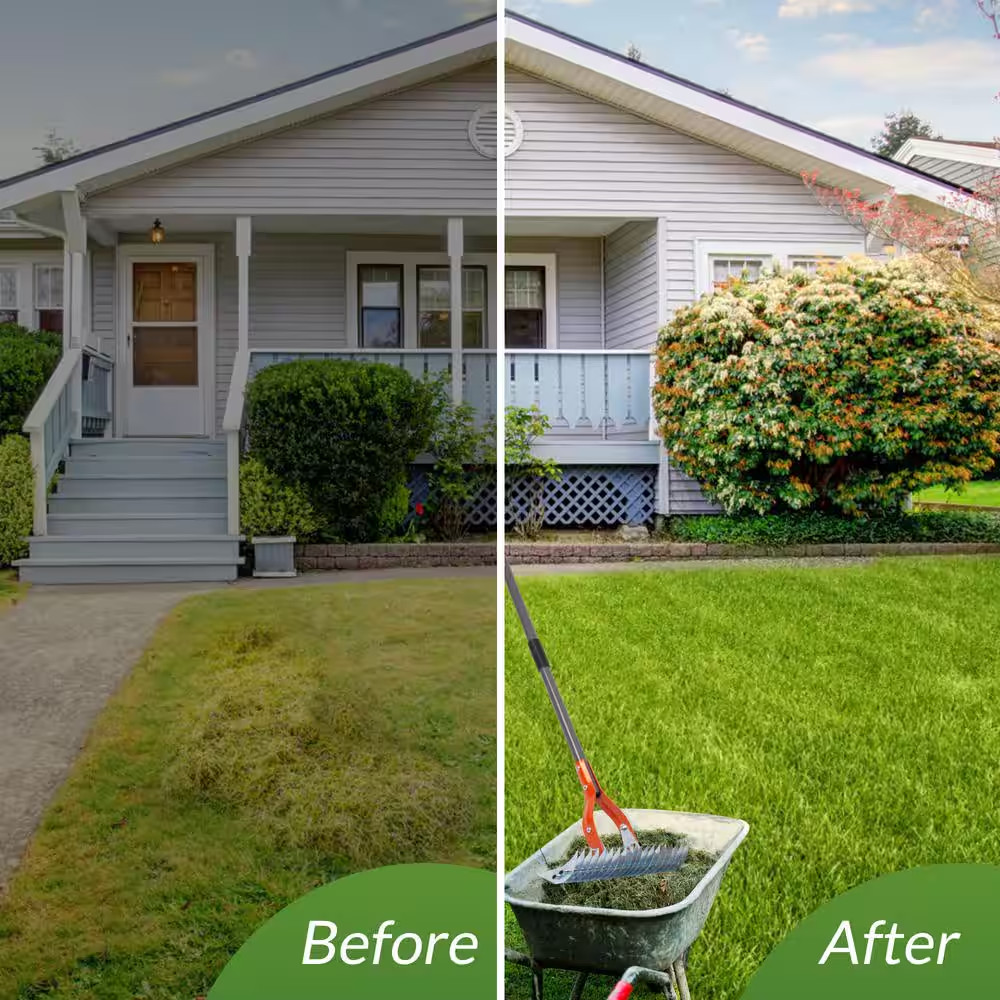 70 In. Adjustable Steel Handle Thatch Rake With19 Tines, Back Saving Lawn Thatch