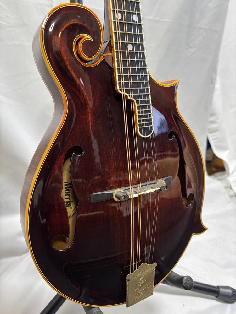 [Rare] Morris MF-2000/Flat Mandolin