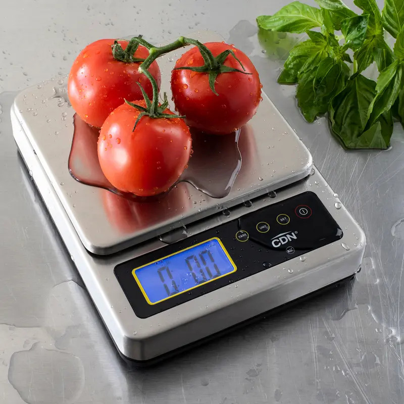 CDN SD1110X ProAccurate 11 lb Digital Submersible Portion Control Scale