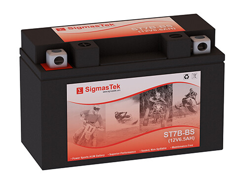 Yamaha 450CC YFZ450, 2004-2009 Replacement Battery (110CCA)