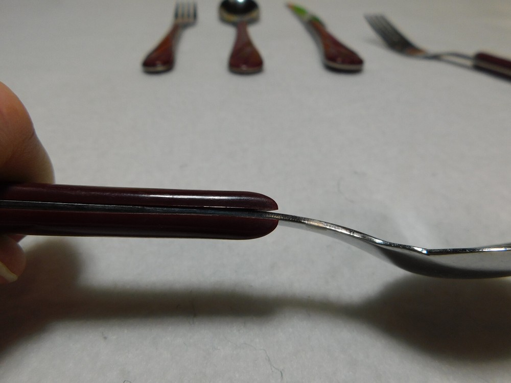 Fiesta Flatware Place Setting for Five Cinnabar