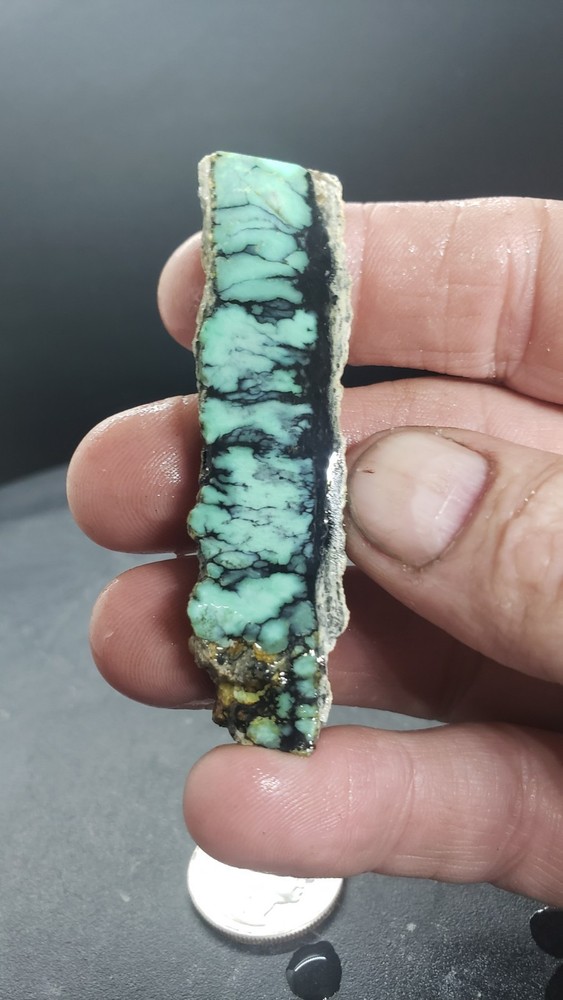 Nevada Saguaro Variscite Slab
