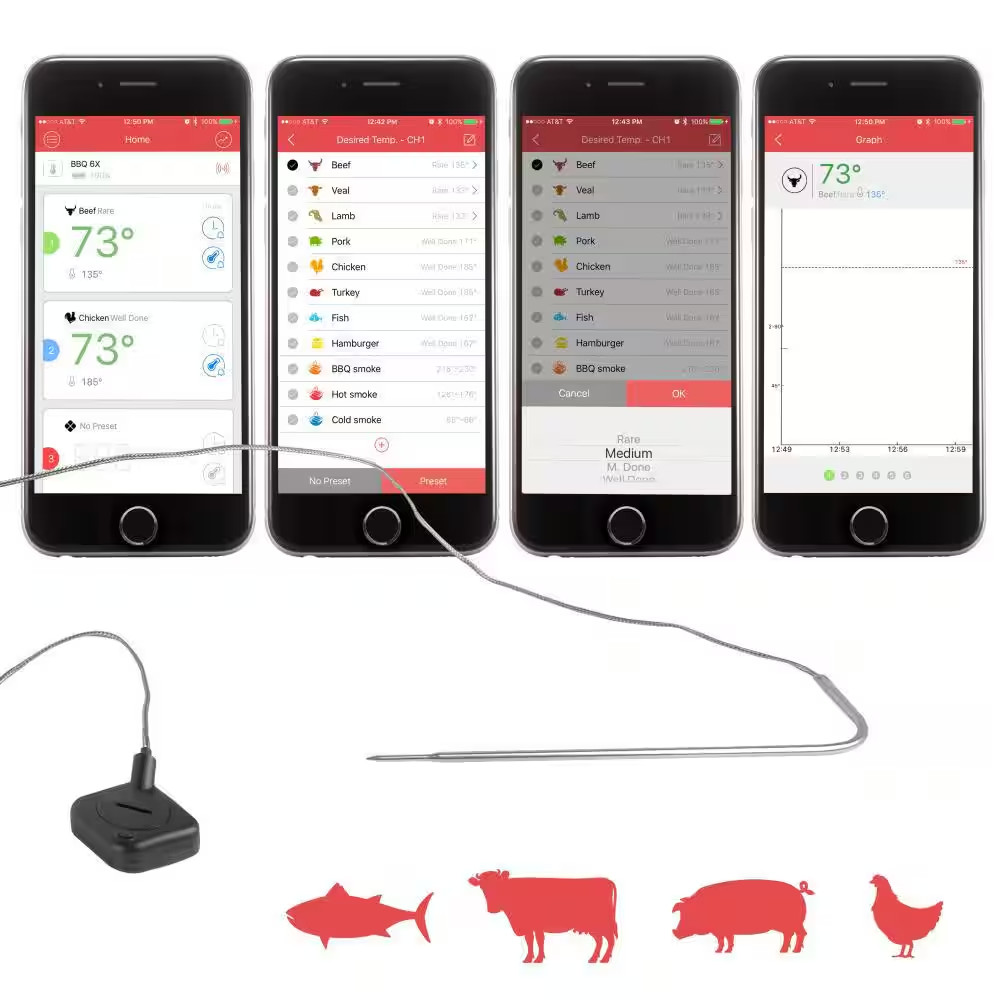 Bluetooth Wireless BBQ Thermometer