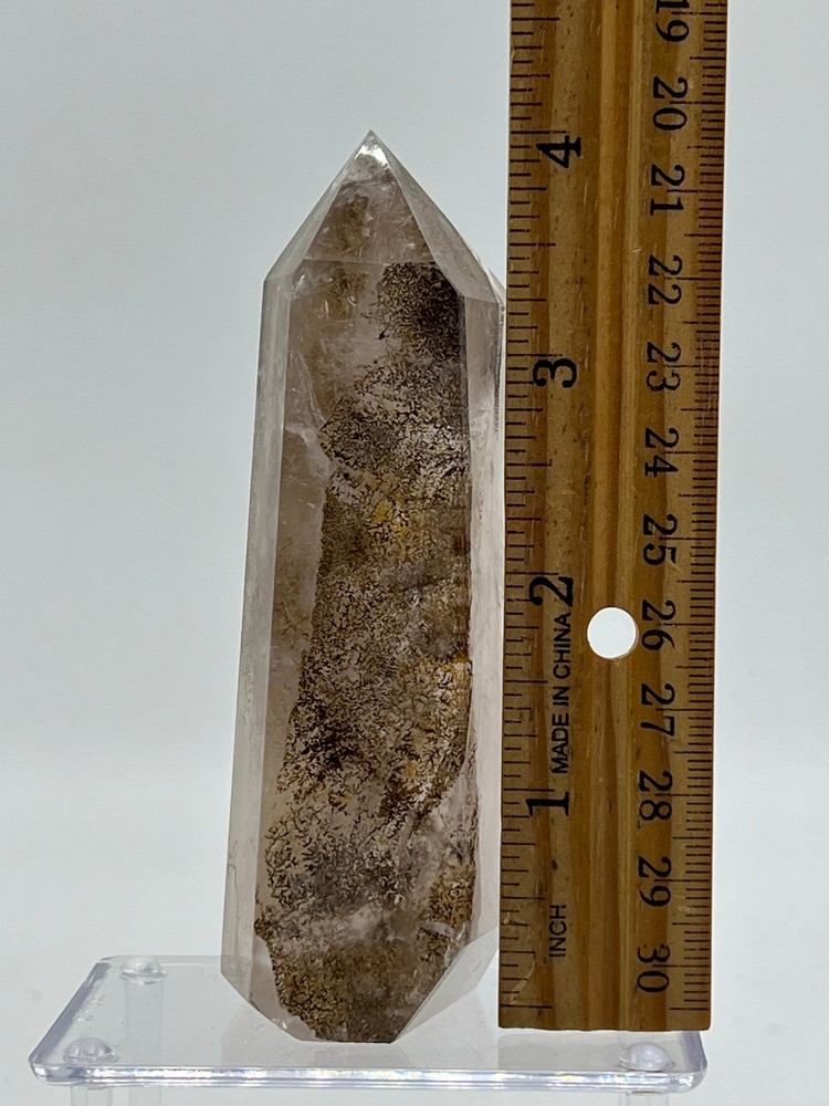 Dendritic Quartz F