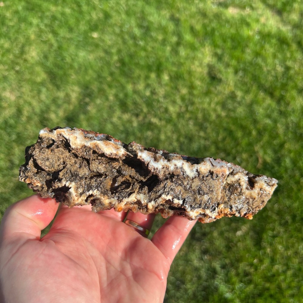Liberty Ledge Agate Rough Faced Specimen 438gm (P19)