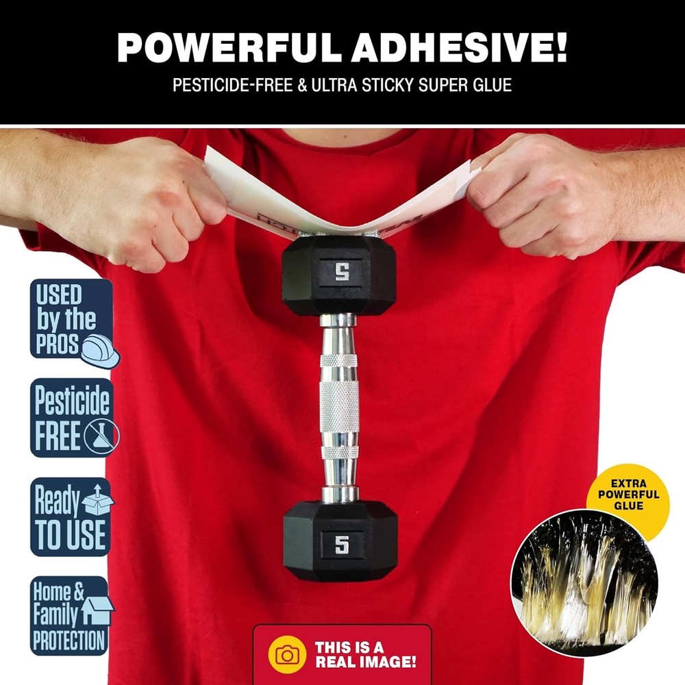 Max-Catch 72pk Mouse & Insect Glue Trap