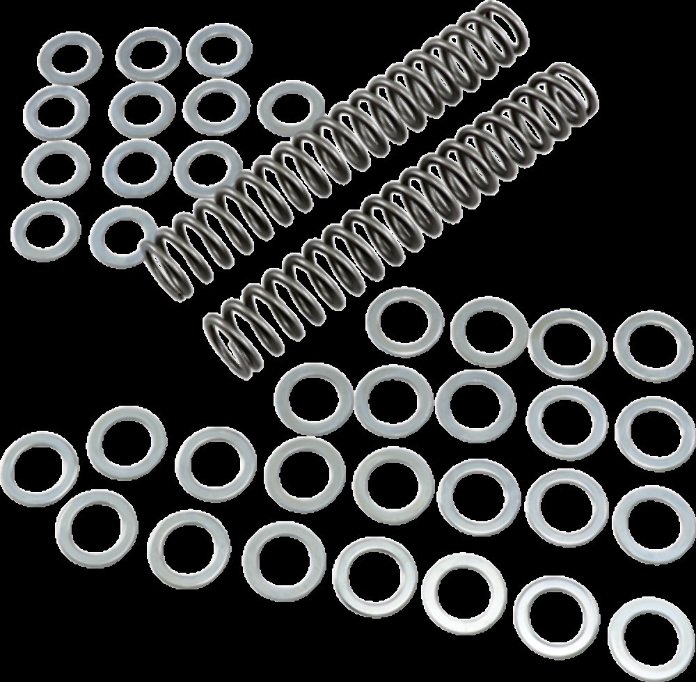RACE TECH FRSP S3825100 SPRING FORK 1.00KG