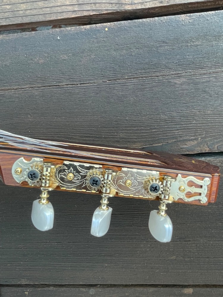 Takamine Classical Nylon String Guitar Model TC132SC