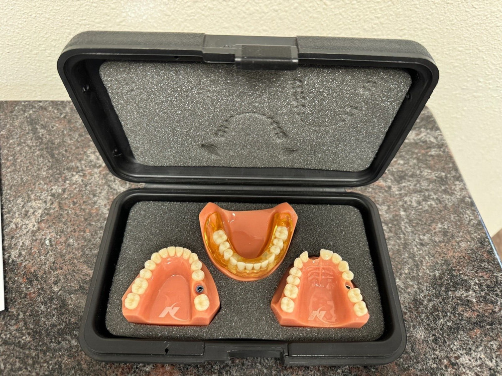 Nobel Biocare Education Models with Case