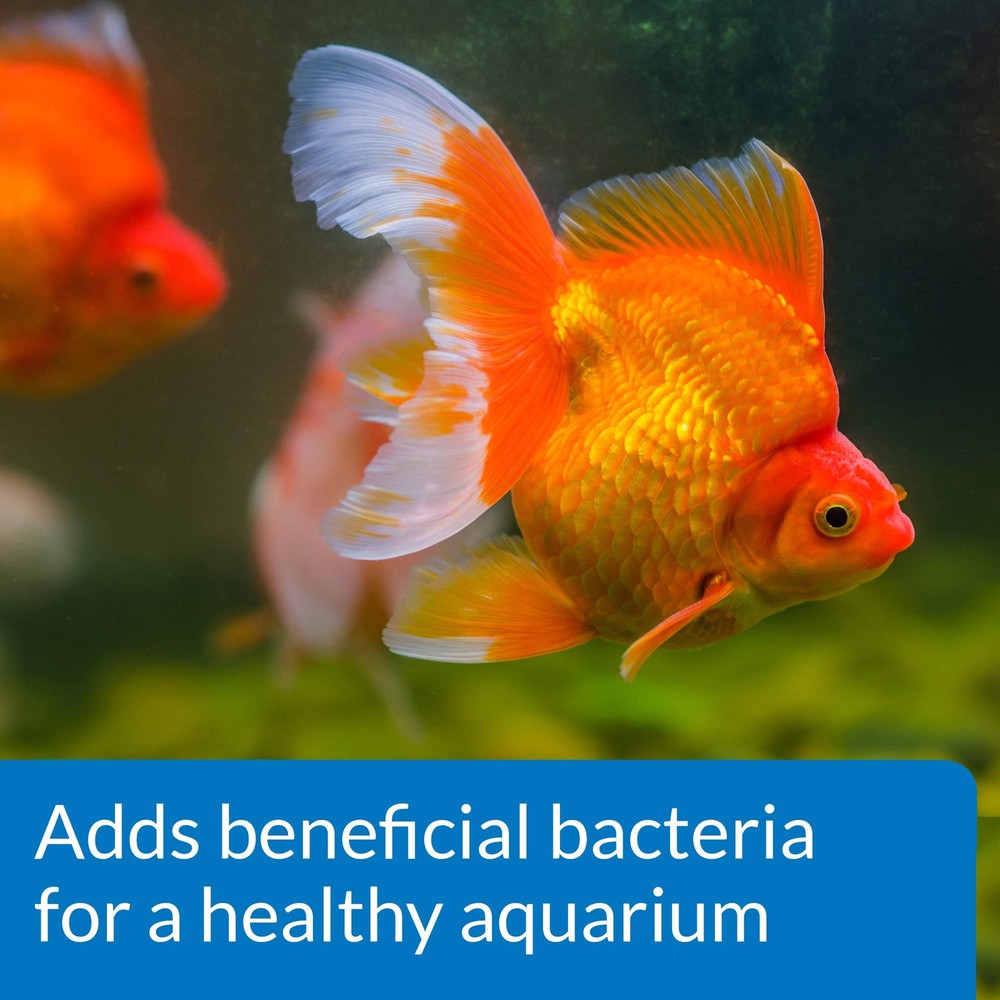API GOLDFISH PROTECT Aquarium Water Conditioner Conditioner, White