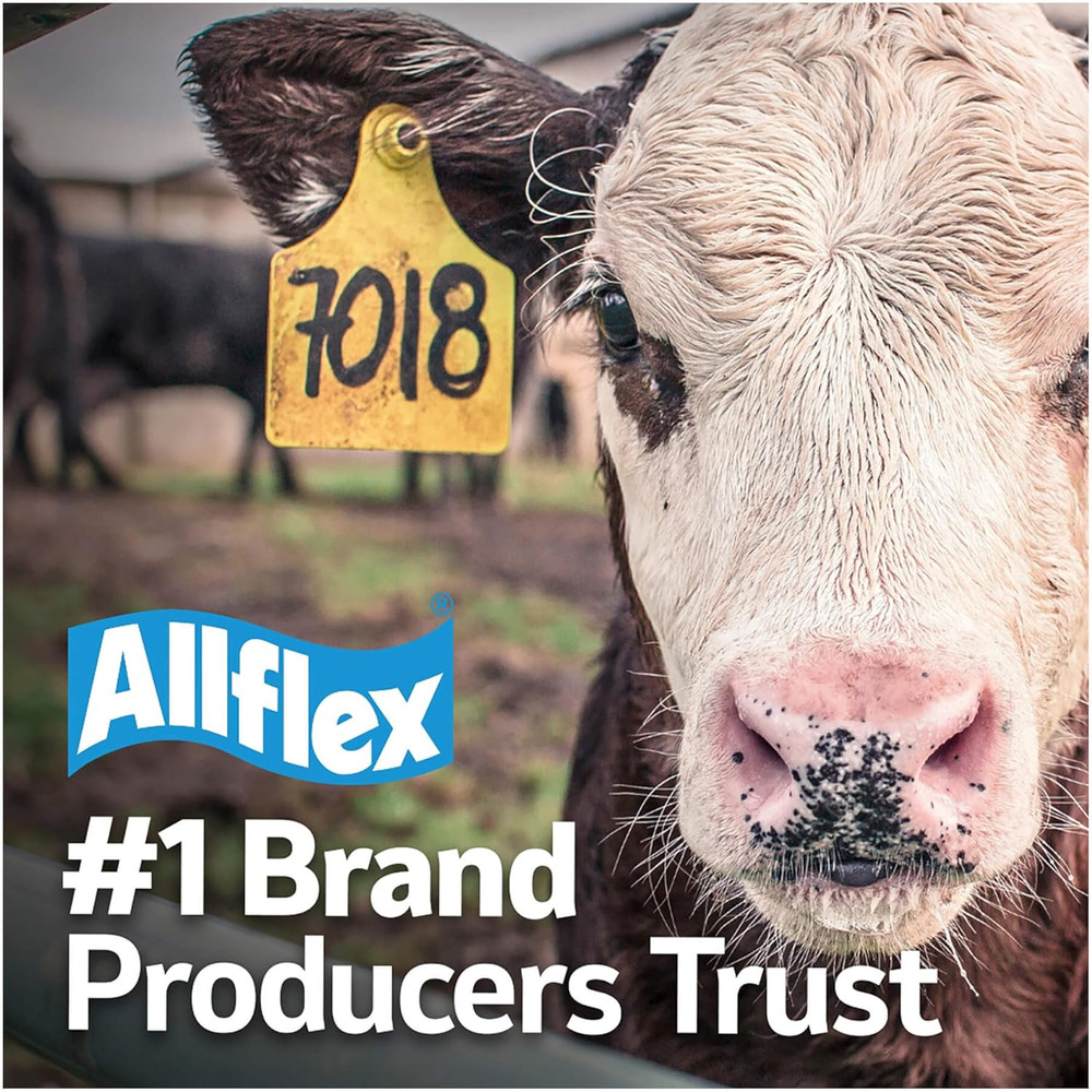 USA Large White Blanks Ear Tags