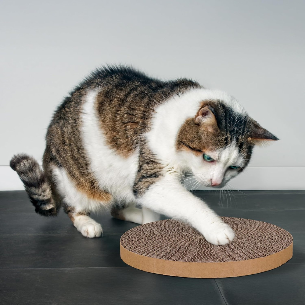 Scratch and Spin Cat Scratcher Replacement Pads for Active Play, Natural Recycle