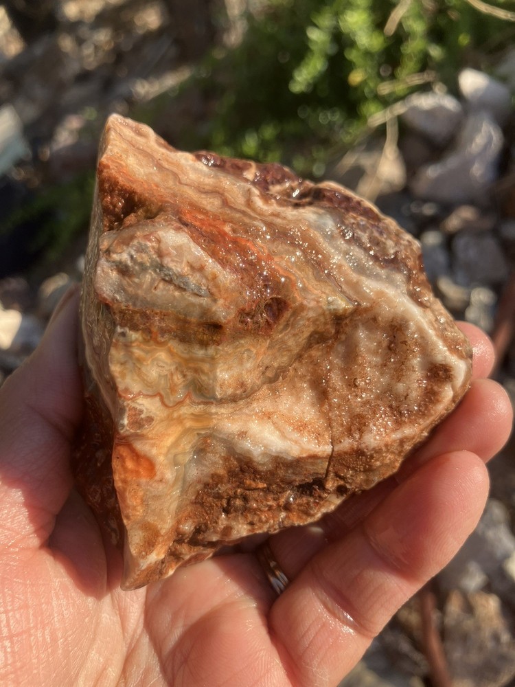 Crazy Lace Agate (rough)
