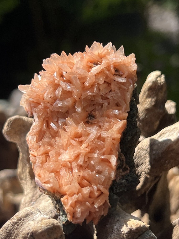 Orange Heulandite Cluster Bed Bright Colouring AAA+ 7