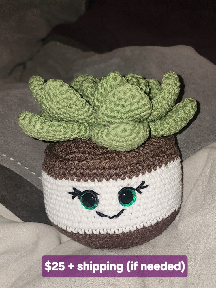 Handmade Succulent