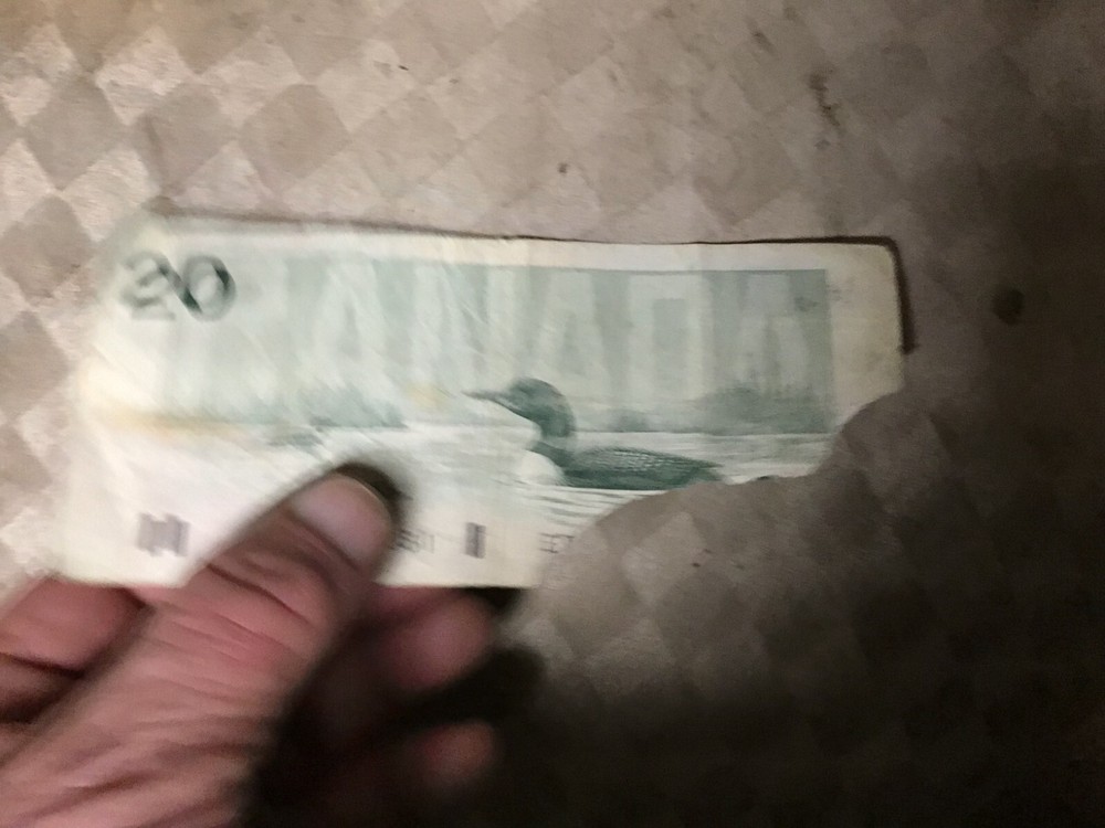 1991 Canada $20 Dollar Note $20 Bill, 1 Note