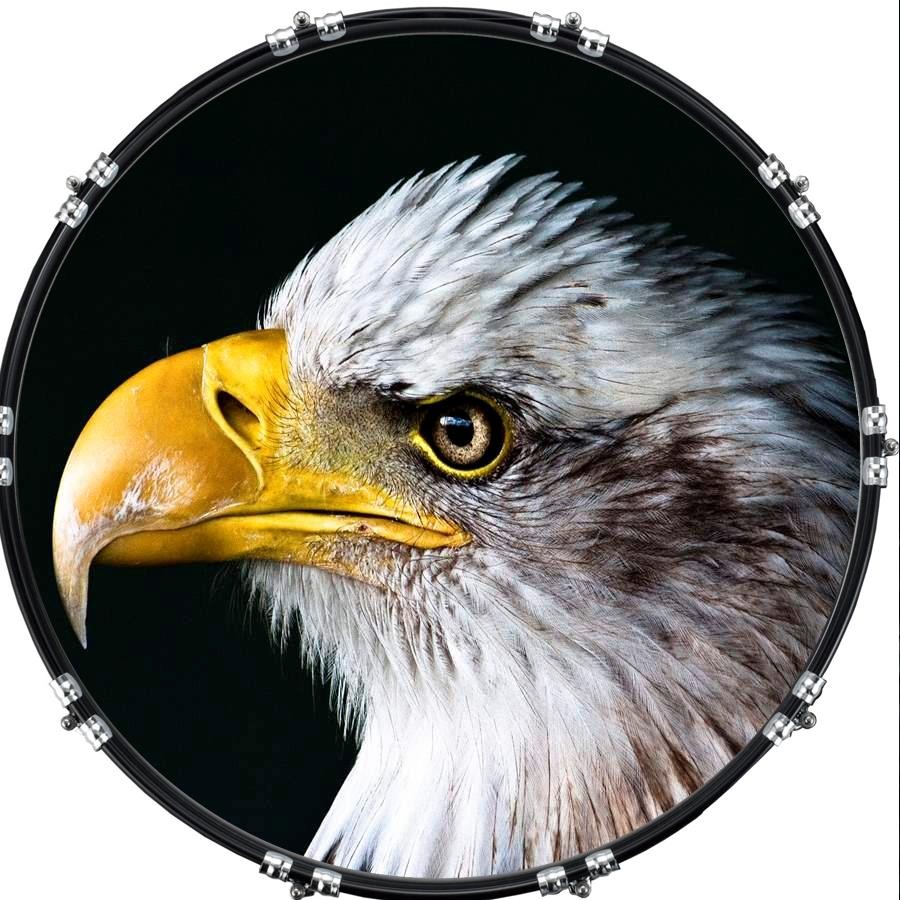 Custom 22" Kick Bass Drum Head Graphical Image Front  Bald Eagle 1