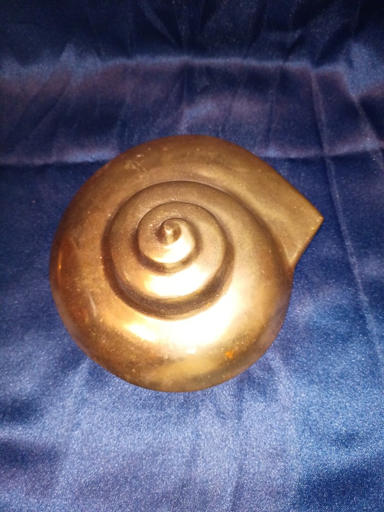 Brass Shark Eye Moon Shell