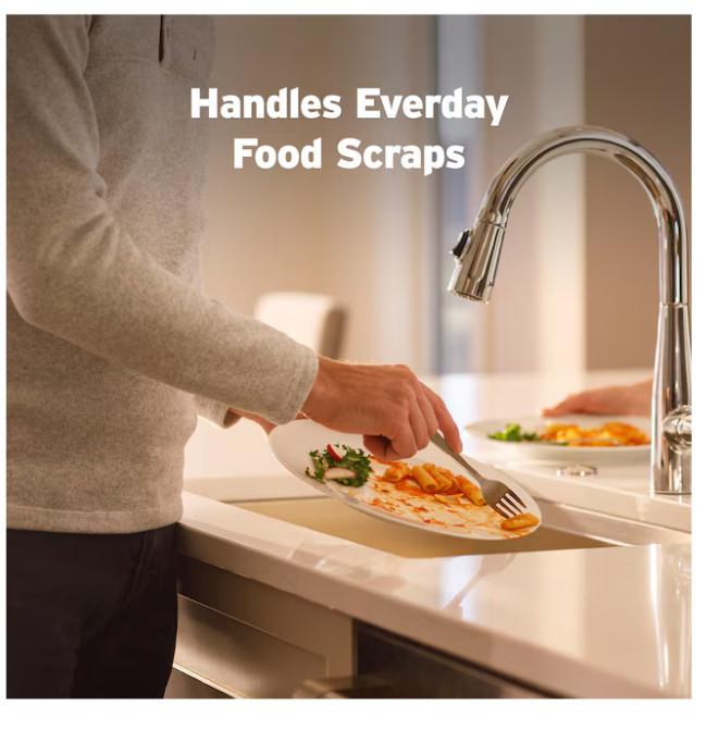 INSINKERATOR Badger 1 Garbage Disposal 1/3 Hp