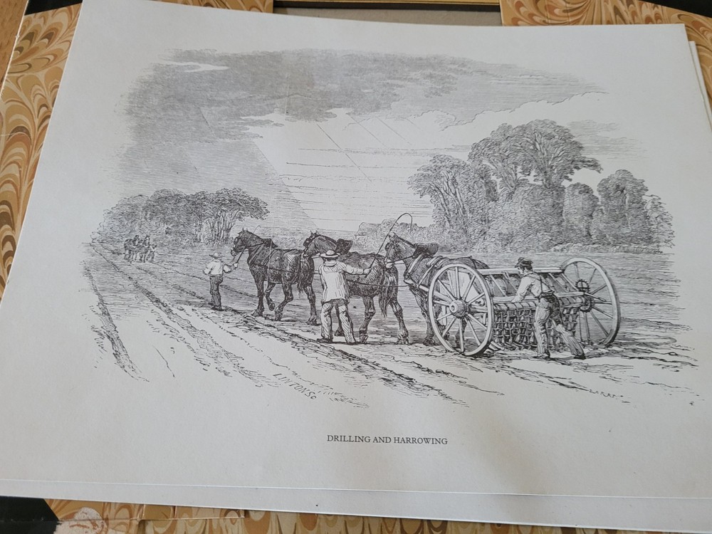 BEROL LEISURE PRODUCTS PRINTS FOR COLOURING