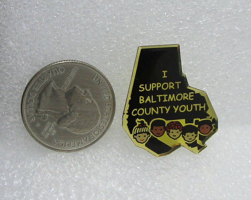I Support Baltimore County Youth Pin