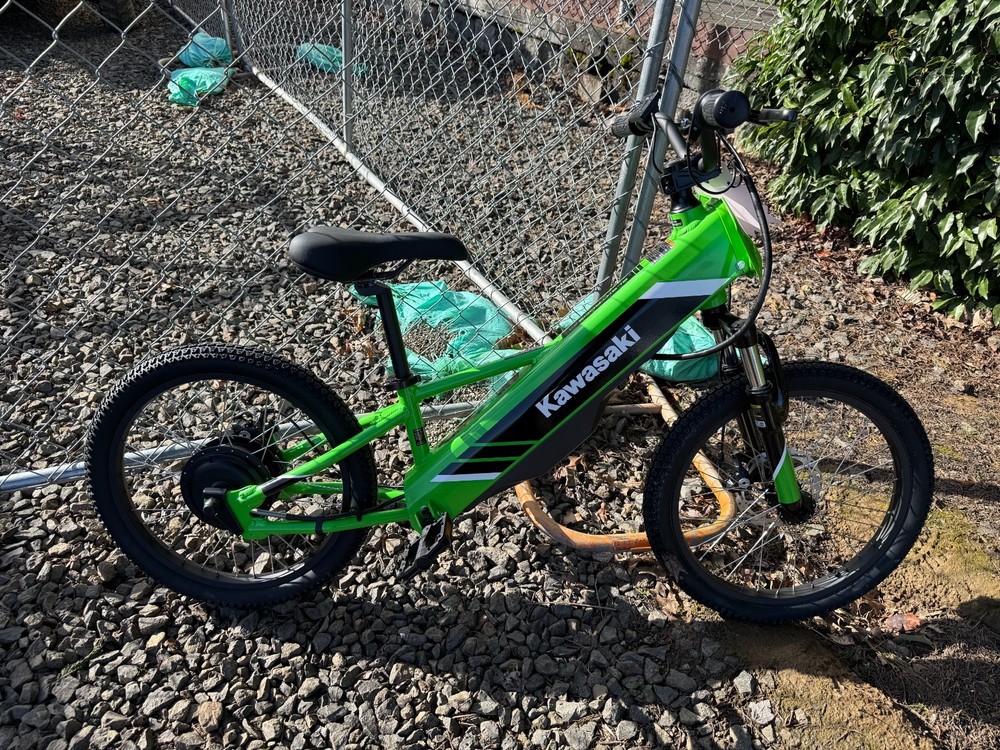 2024 KAWASAKI Elektrode® 20 - Lime Green