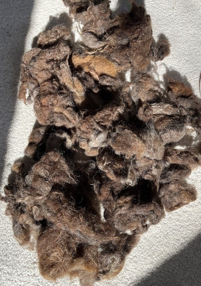 Natural Colored Wool Washed 8 Ounces. #31