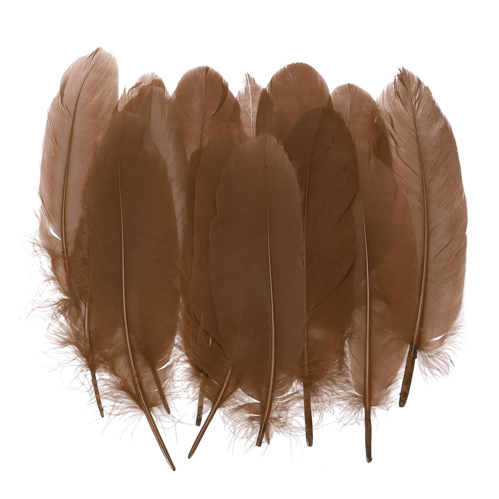 4-7" Natural Goose Feathers Bulk for Crafts, 200 Pack Deep Coffee