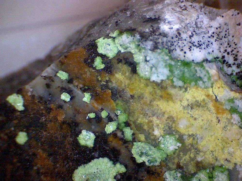Nice Cuproadamite Specimen