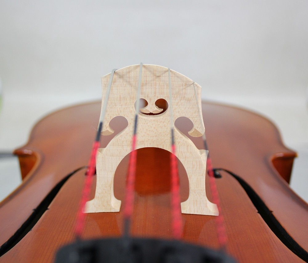 Best Model ! A Stradivari Style Cello 1/2 Size, Deep Tone #8086