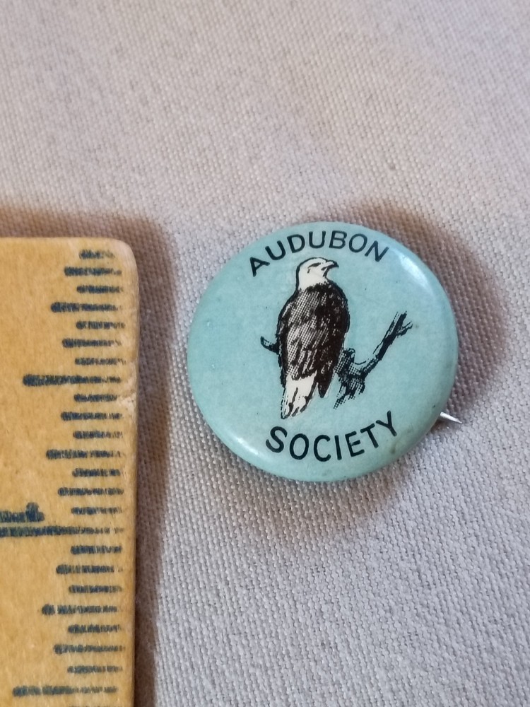 Vintage Audubon Society Bald Eagle Pinback Button.
