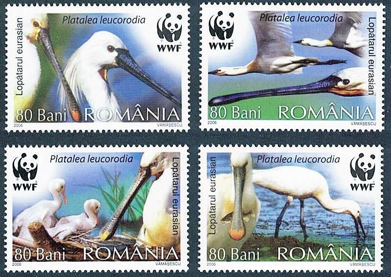 👉 ROMANIA 2006 WWF // PROTECTED BIRDS MNH