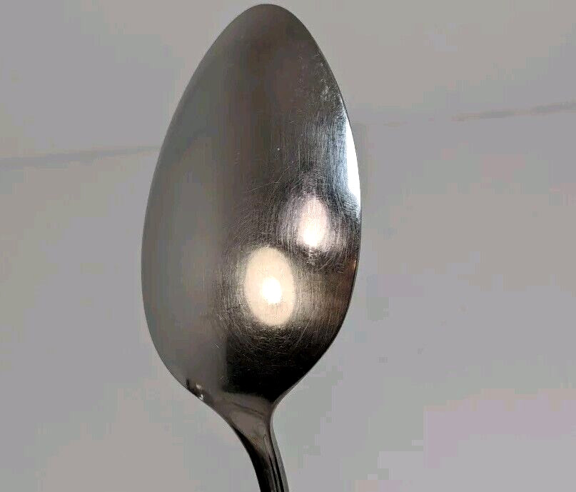 Oneida Community Rose Shadow Stainless Serving Spoon 8-5/8" 70's Vtg
